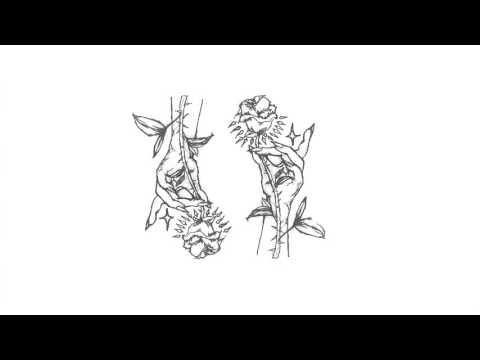 La Favi -No me lo pidas