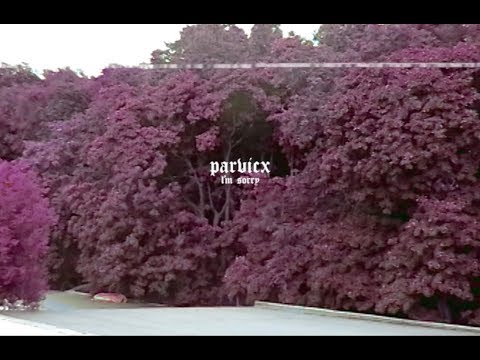PARVICX - I'm Sorry (Official Video)