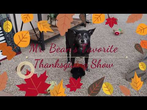 MR BEAN DOG'S FAVORITE THANKSGIVING SHOW