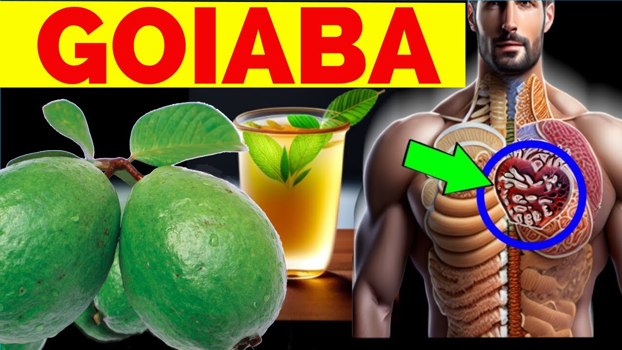 BENEFITS OF GOIABA