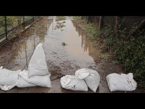 Soluciones de la Municipalidad de Hualqui y Vialidad para vecinos aislados de Barrancas Juntas