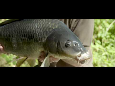 MITCHELL MX6 5000 Full Runner Reel