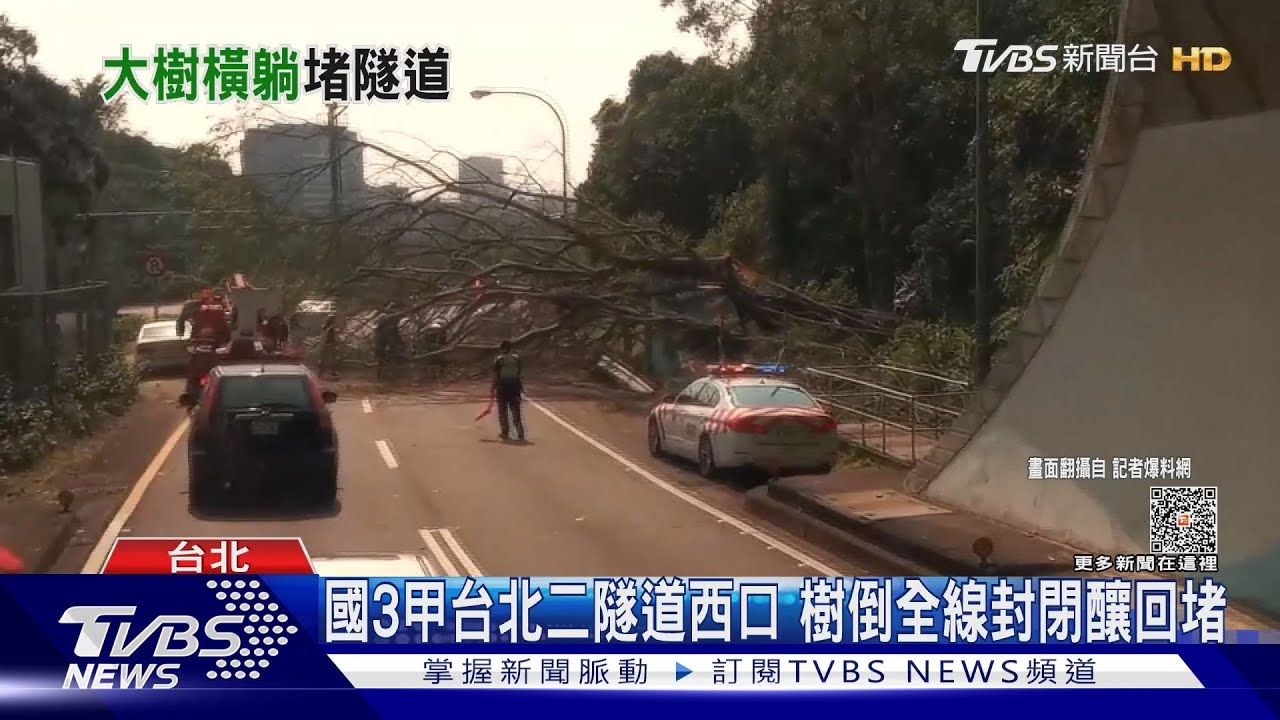 國3甲台北二隧道西口 樹倒全線封閉釀回堵