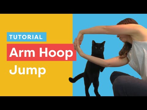 A Fun Cat Trick: Teach Your Cat To Jump Through An Arm Hoop