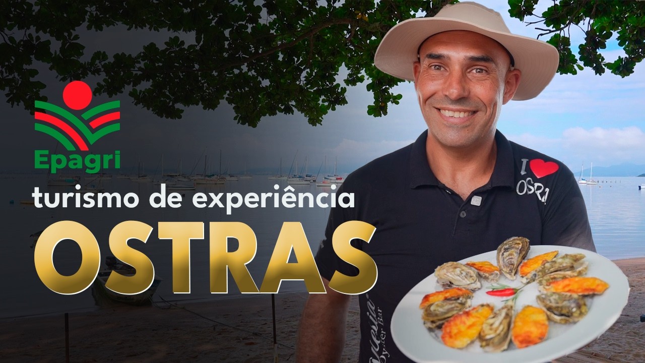 Ostras de Florianópolis: Roteiro de Turismo de Experiência em Santo Antônio de Lisboa