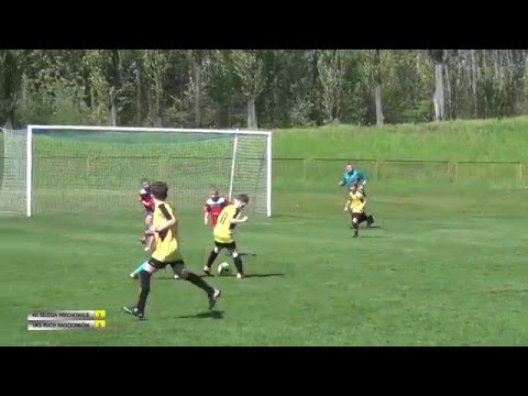 KS Silesia Miechowice -  UKS Ruch Radzionków (2006) - gole