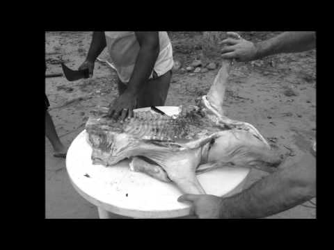 TJR ft Savage We wanna party- Electro house WAV (HQ)