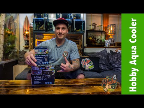 Watch Video on YouTube