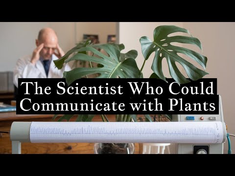 How Marcel Vogel Learned to Communicate with Plants 🌱🤯