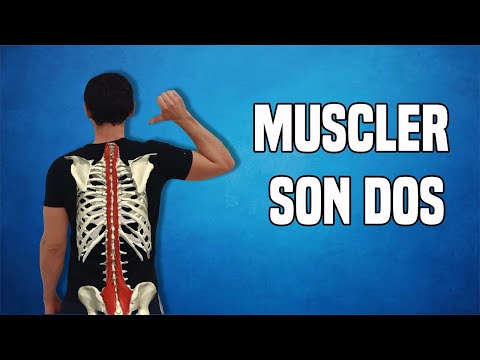 BACK MUSCLE STRENGTHENING: 10 EXERCISES FOR THE EXTENSORS