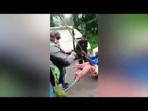 African cultural dance / dont miss it...🇨🇲