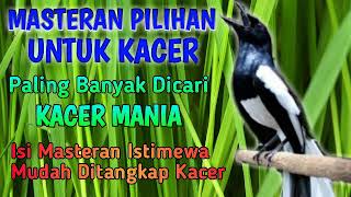 Download lagu MASTERAN KACER Full Isian Cililin,Tengkek Buto,Kapas Tembak,Gereja Tarung mp3