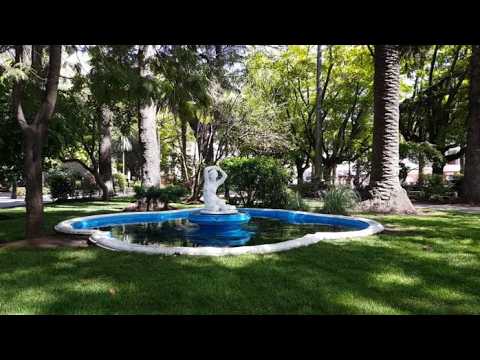 Plaza de Armas de Curicó: Museo al Aire Libre | Historia del Maule