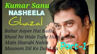 Kumar Sanu Ghazals, Nasheela Album, Bahar Aayee Hai Badla Ghazals By Kumar Sanu, Hindi Songs.