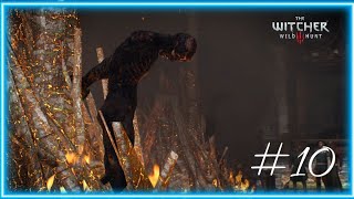 The Witcher 3 Wild Hunt story modded gameplay part 10 PYRES OF NOVIGRAD no commentary