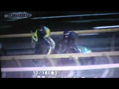 2015・複勝10万円勝負＃37・朝日杯フューチュリティステークス