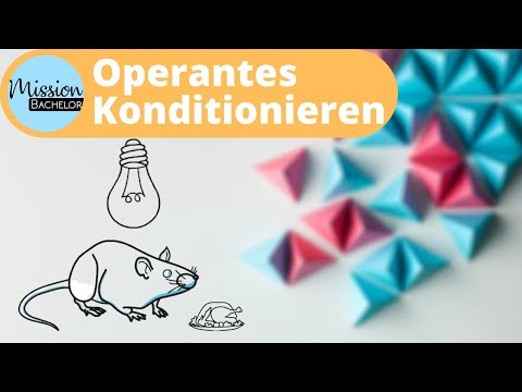 Operant Conditioning | Negative and Positive Reinforcement or Punishment | Simply Explained