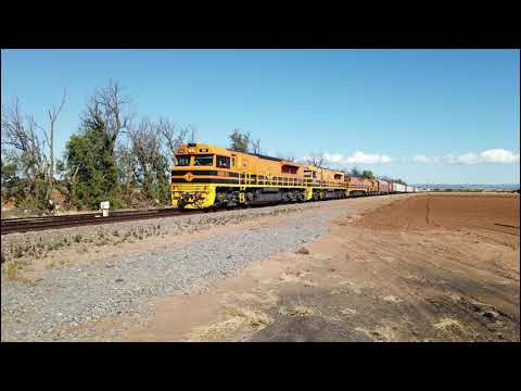 GWB101 + GWA003 + ALF22