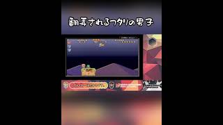 いやらしすぎる敵配置【スーパーマリオUSA】