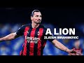 I'm not arrogant, just confident | Zlatan Ibrahimovic Motivation