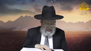 דף היומי בחצי שעה - סוטה דף ה'