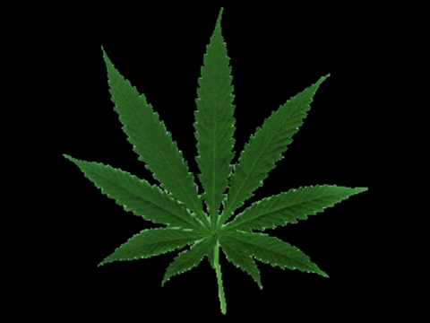 Jamie Ferguson Special!