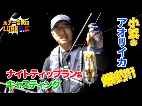 ナイトティップラン＆キャスティングで小浜のアオリイカ爆釣!!（ルアー合衆国/2023年10月14日放送）