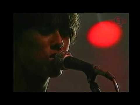 Sofea-Bunga Padang Pasir