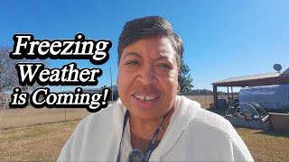 Protecting PLANTS from Freezing Weather in Your Garden
