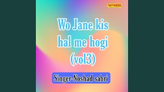 Download lagu Wo Jane Kis Hal Me Hogi 03 mp3