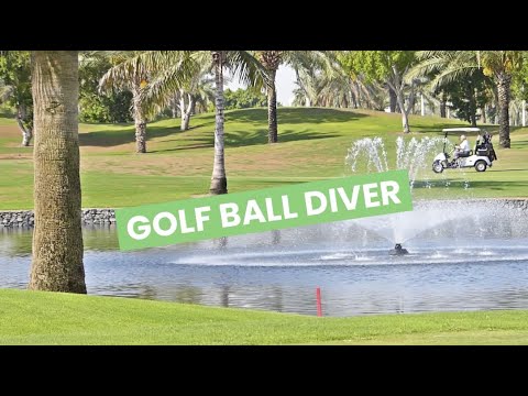 Golf ball diver video 3