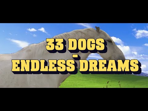 33 Dogs - Endless Dreams (Official Video)