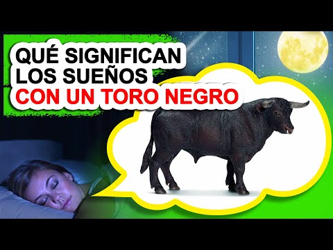 ¿Qué Significan Los Sueños Con Un TORO NEGRO? 🐂 Sueños Con Un TORO NEGRO