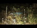 Velociraptor Sighting | VHS Analog Horror | Dinosaur Caught on Camera (Congoraptor)