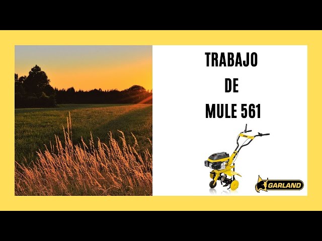 Garland Mule 561QG-V20 Motozappa a benzina 2200W video
