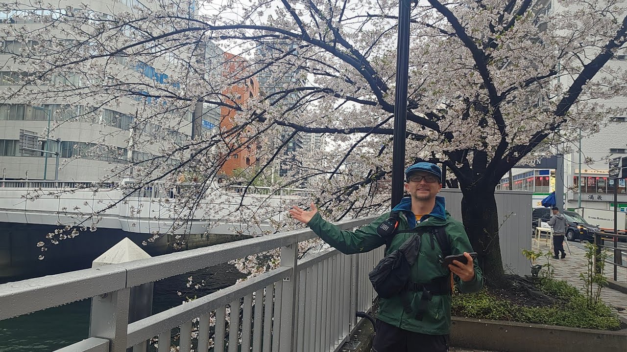 FESTIWAL  #ENISA w KAWASAKI - JAPONIA LIVE