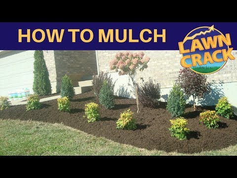 Mulch Like a Pro | How to Mulch Tutorial | How to Mulch and Edge | Landscaping Tips | LawnCrack