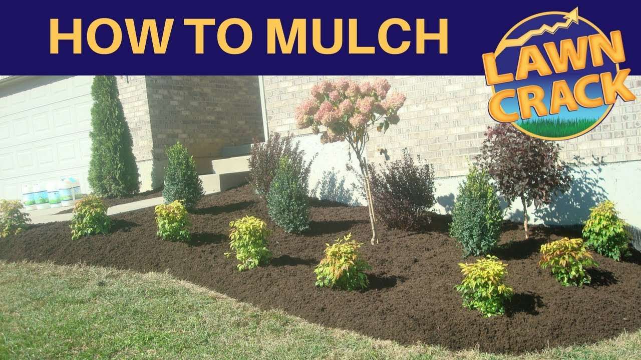 Mulch Like a Pro | How to Mulch Tutorial | How to Mulch and Edge | Landscaping Tips | LawnCrack - YouTube