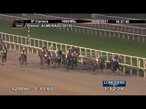 210829 c09 NOSTRADAMUS