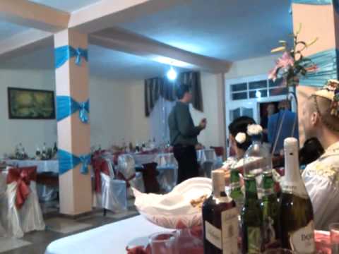 Vlasin Stefan cu Formatia Fratii Mat si Oana Matei