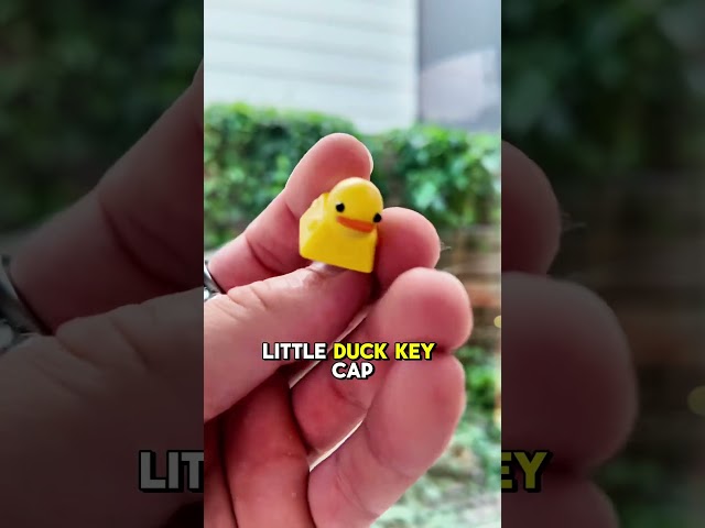 Vídeo relacionado con TaimeiMao 3 Llaveros Fidget Toys con Sonido, Llavero recargable con forma de teclado, Rana/Pato/Lagarto, Gadgets divertidos, Gadgets antiestrés para adultos
