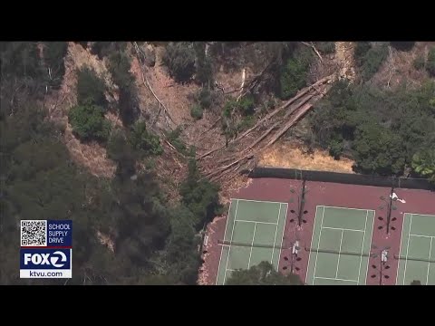 Popular Davie Stadium shuttered; other Oakland tennis courts in 'deplorable' condition