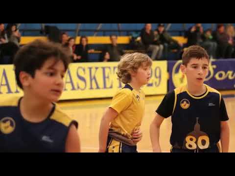 High hopes Petriana 2008 - 2009