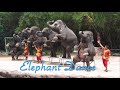 Elephant Dance