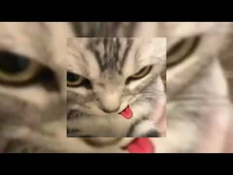 ratu meta - sakitnya luar dalam (sped up)