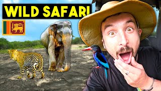 Travel vlog - Sri Lanka's WILDLIFE SAFARI is Absolutely EPIC (Udawalawe National Park)๐ฑ๐ฐ