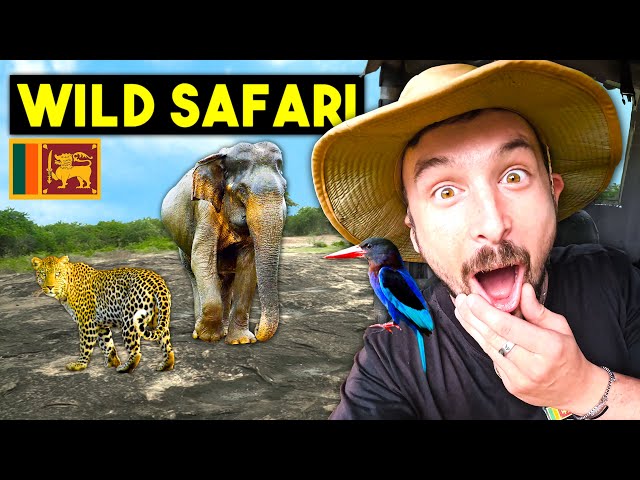 Travel vlog - Sri Lanka's WILDLIFE SAFARI is Absolutely EPIC (Udawalawe National Park)🇱🇰