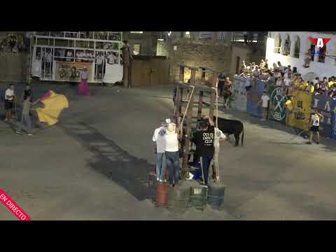 Festejos taurinos directo