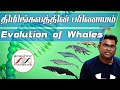 நிலத்தில் நடந்த திமிங்கலங்கள் Evolution Of Wha
