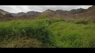 Hiele - Saints (OST)